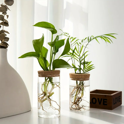 Hydroponics Plants Desktop Glass Planter