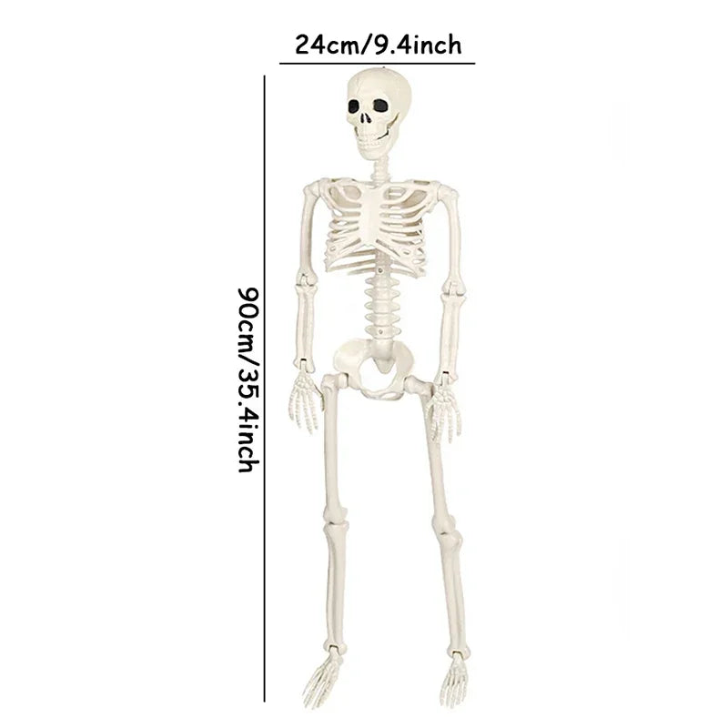 Halloween Movable Skeleton