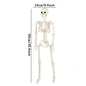 Halloween Movable Skeleton