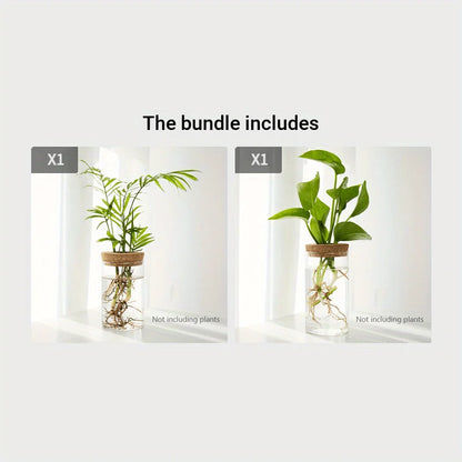 Hydroponics Plants Desktop Glass Planter