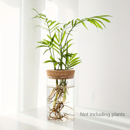 Hydroponics Plants Desktop Glass Planter