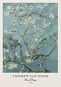 Vincent Van Gogh Writings Prints and Posters