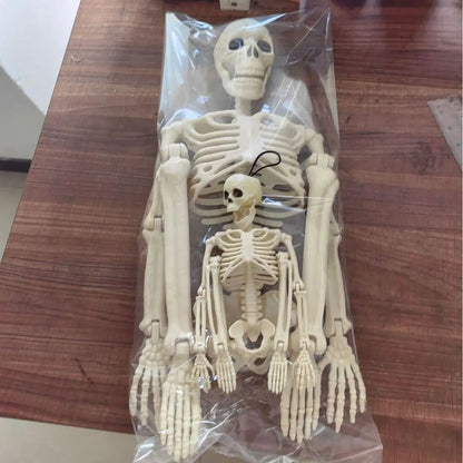 Halloween Movable Skeleton