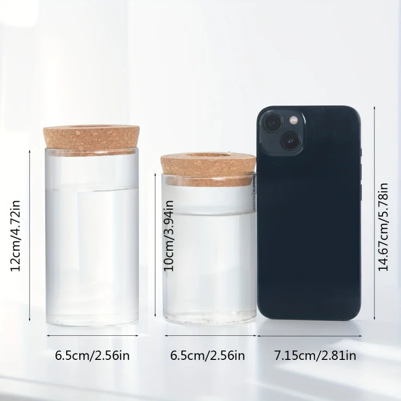 Hydroponics Plants Desktop Glass Planter